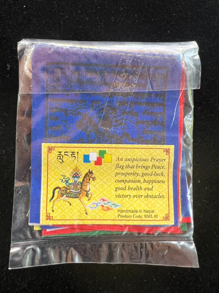 Tiny Windhorse Tibetan Prayer Flags | 2.7in x 3.3in | 1 set of 10 flags | Nepal | Lung Ta - The Incense Stick