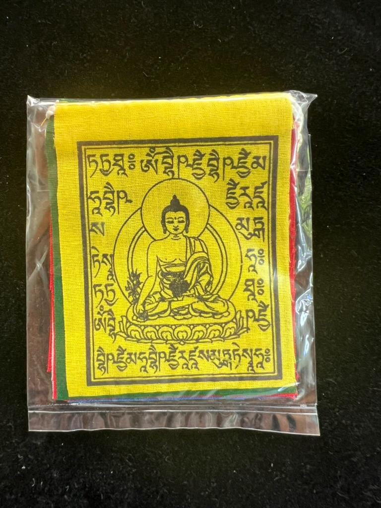 Tiny Medicine Buddha Tibetan Prayer Flags | 2.7in x 3.3in | 1 set of 10 flags | Nepal | - The Incense Stick