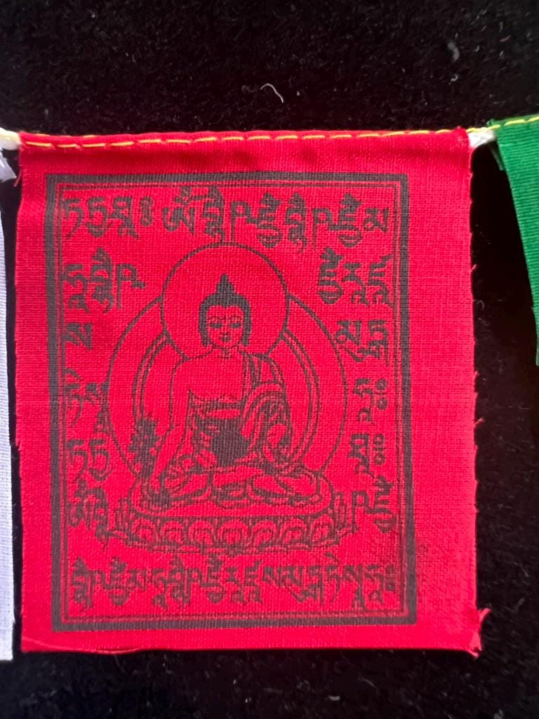 Tiny Medicine Buddha Tibetan Prayer Flags | 2.7in x 3.3in | 1 set of 10 flags | Nepal | - The Incense Stick
