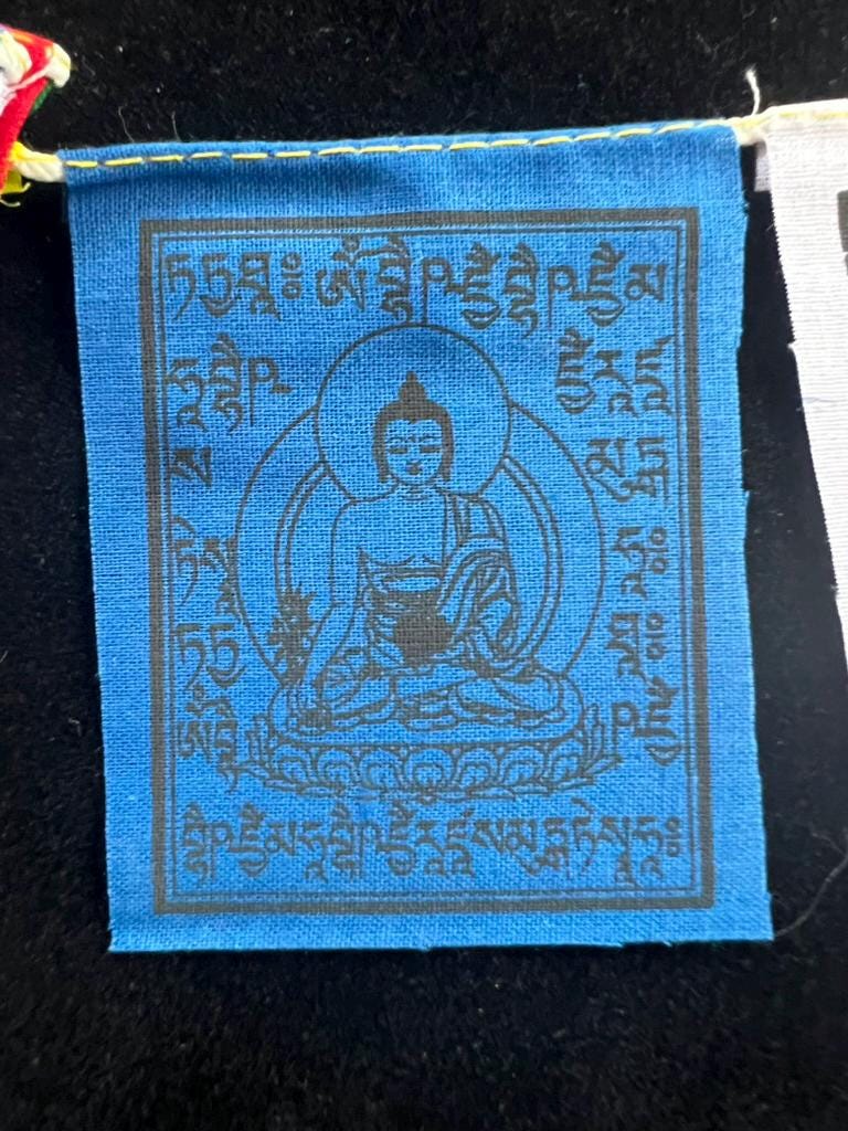 Tiny Medicine Buddha Tibetan Prayer Flags | 2.7in x 3.3in | 1 set of 10 flags | Nepal | - The Incense Stick