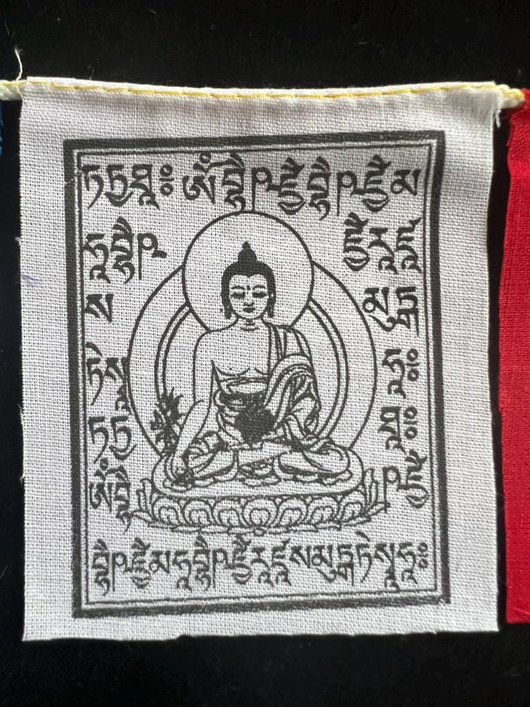 Tiny Medicine Buddha Tibetan Prayer Flags | 2.7in x 3.3in | 1 set of 10 flags | Nepal | - The Incense Stick