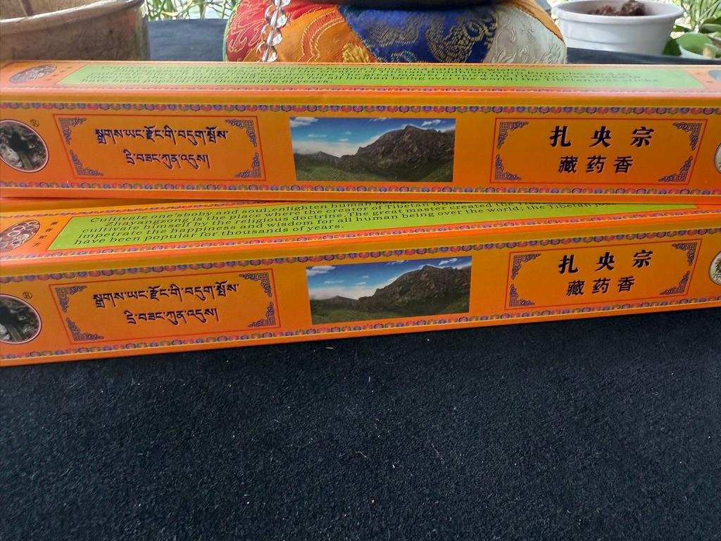 Guru Padmasambhava Holy Land Medicinal Incense | Tibet | 35 sticks | 9.5 inches long - The Incense Stick