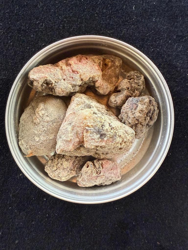 Spruce Resin | 1 ounce | Natural Tree Resin | Estonia | Picea abies | Norway Spruce - The Incense Stick