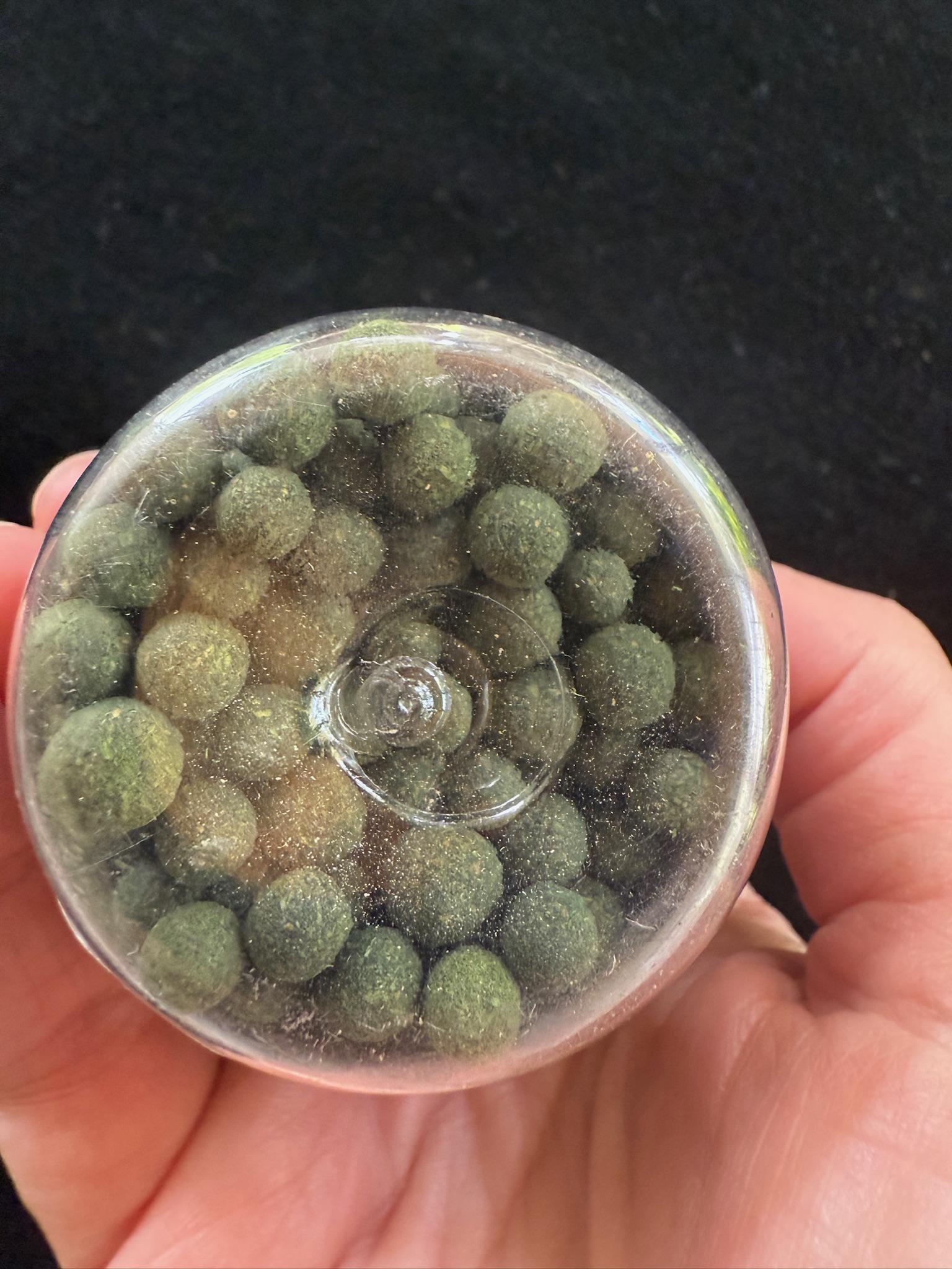 Drikung Bhumzey 25 pills | 1.75 ounces including the jar | Drikung Sorig Amrita Herbal Product - The Incense Stick