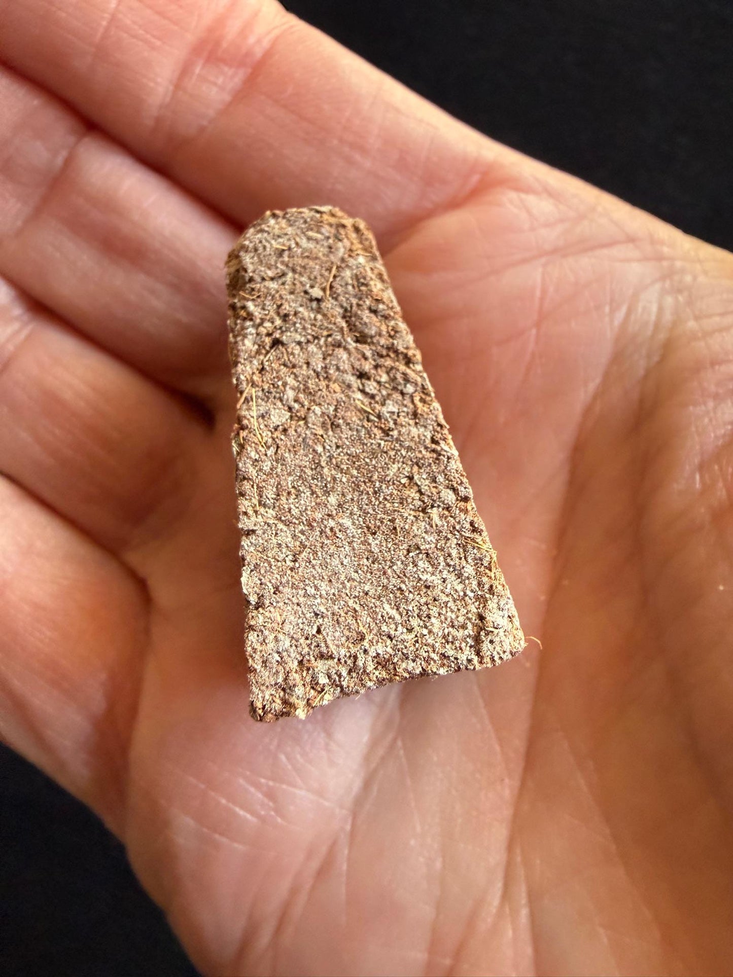 White Sage and Copal Cone Incense| 10 cones | 1 tin