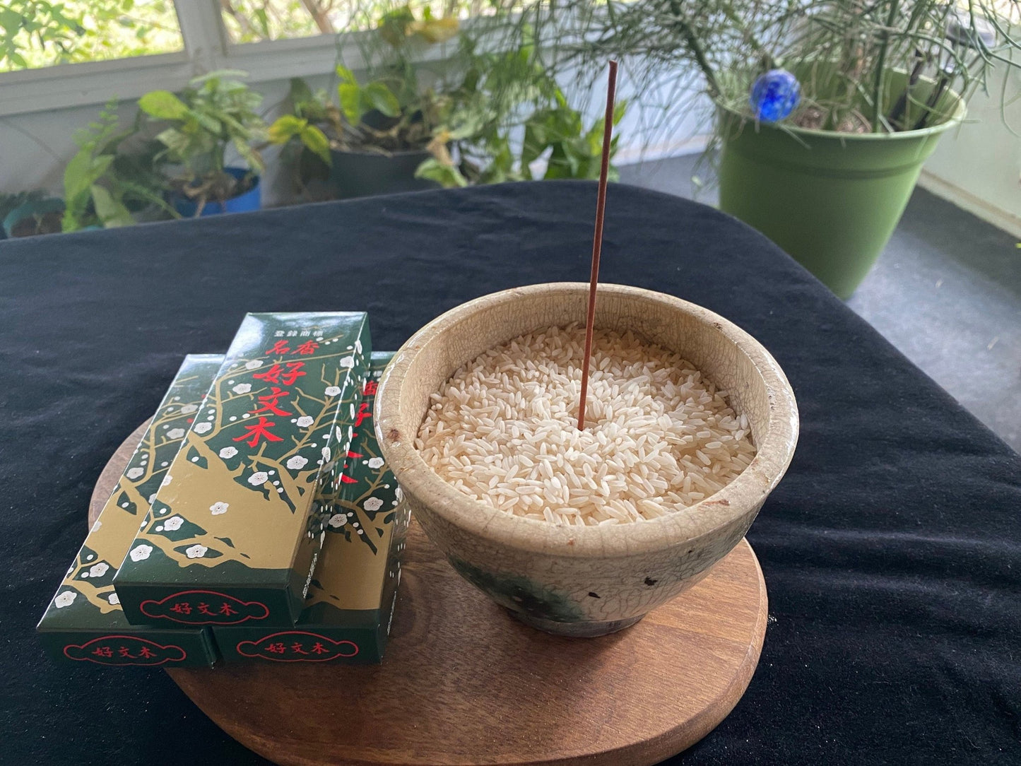 Kobunboku Incense | Japanese Incense | 40 grams | 5 1/2 inch sticks | Small Box | Baieido - The Incense Stick