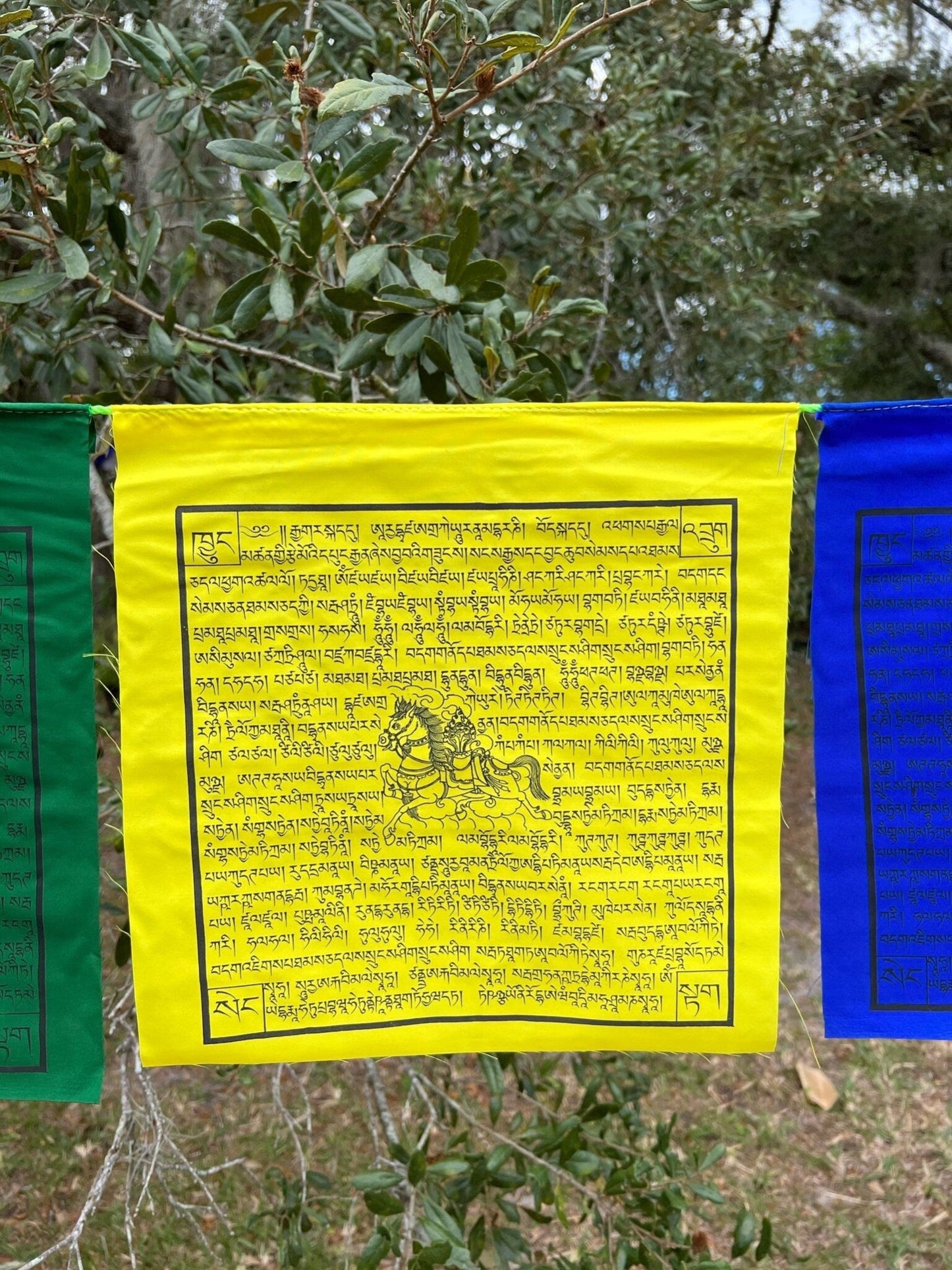 Gyaltsen Tsenmö | Tibetan Prayer Flags | 13 x 13 | Set of 25 | Victory Banner - The Incense Stick