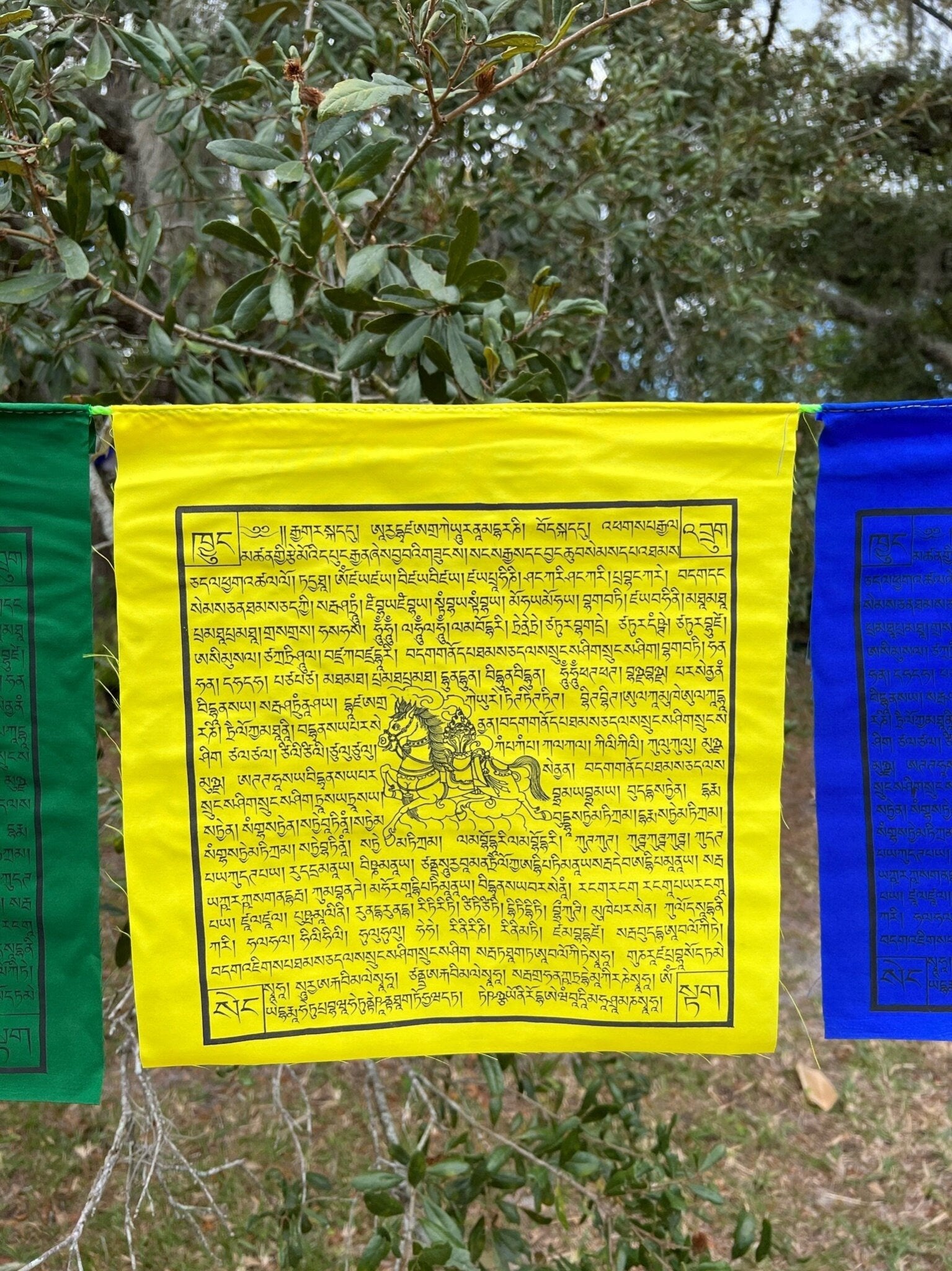 Gyaltsen Tsenmö | Tibetan Prayer Flags | 13 x 13 | Set of 25 | Victory Banner - The Incense Stick