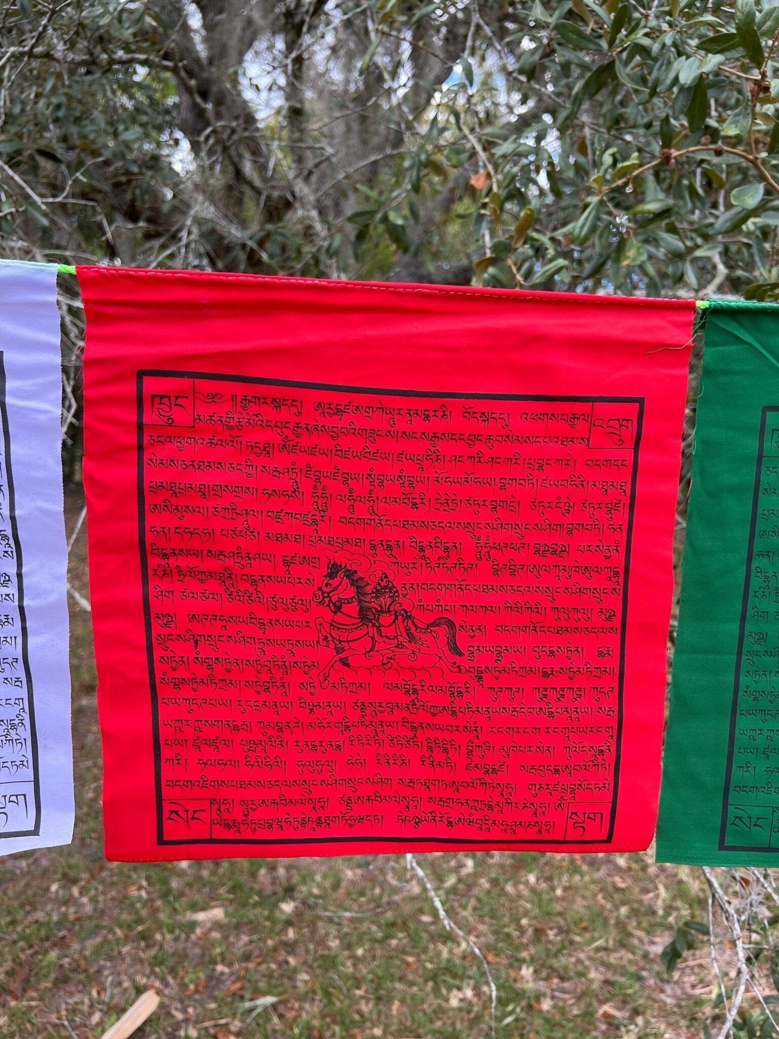 Gyaltsen Tsenmö | Tibetan Prayer Flags | 13 x 13 | Set of 25 | Victory Banner - The Incense Stick