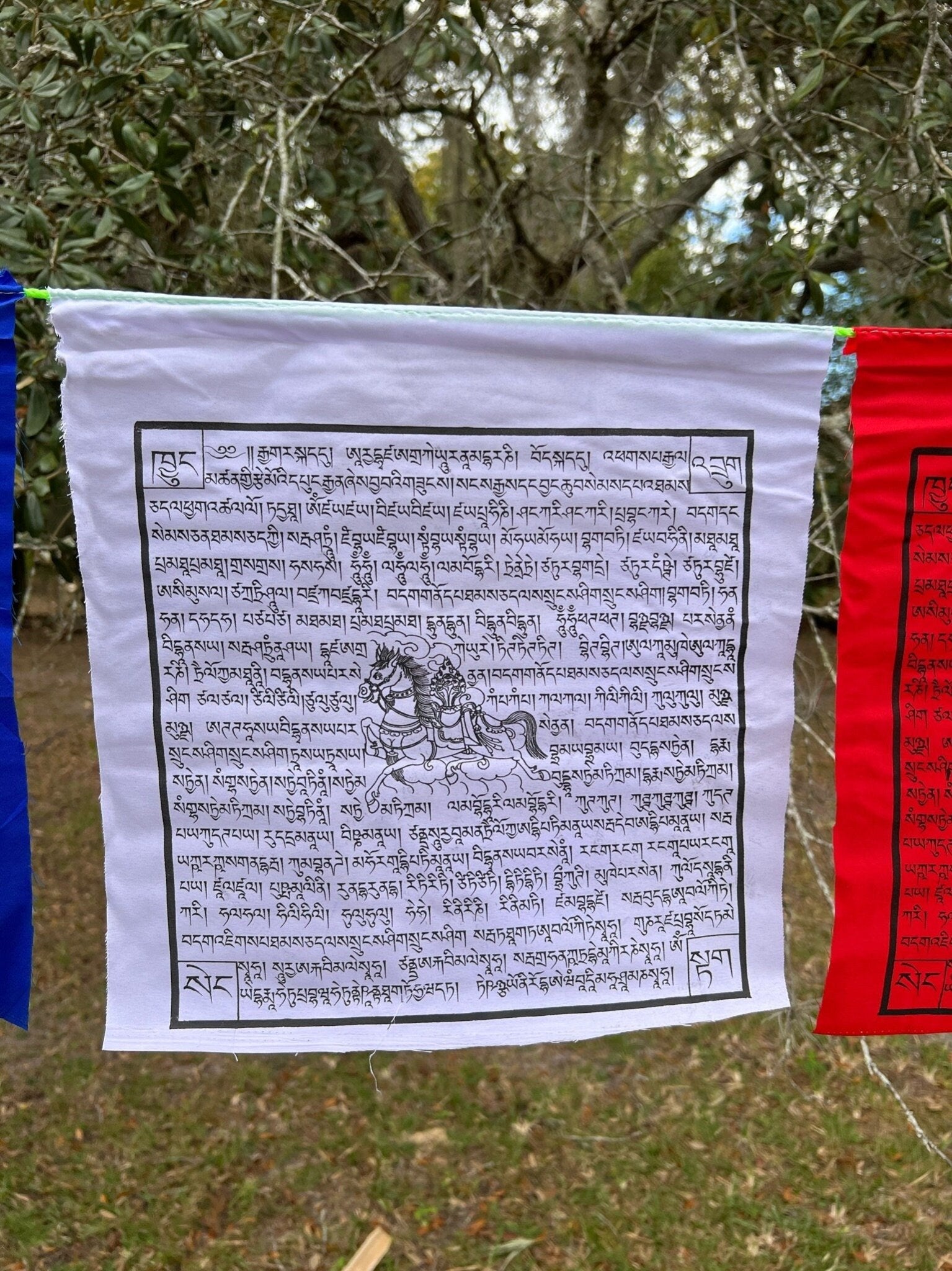 Gyaltsen Tsenmö | Tibetan Prayer Flags | 13 x 13 | Set of 25 | Victory Banner - The Incense Stick