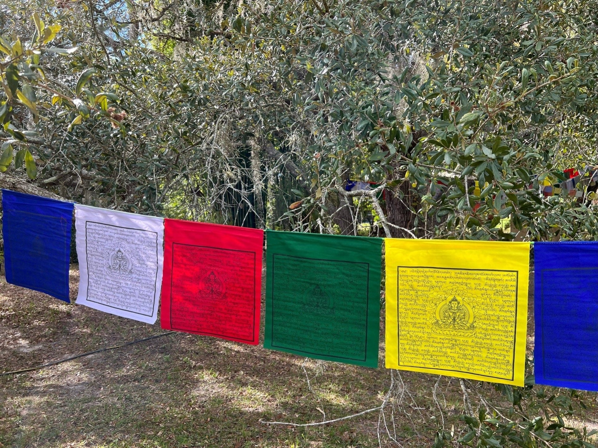 Amitayus | Tibetan Prayer Flags | 13 x 13 | Set of 25 | Tsepame | Buddha of Longevity - The Incense Stick