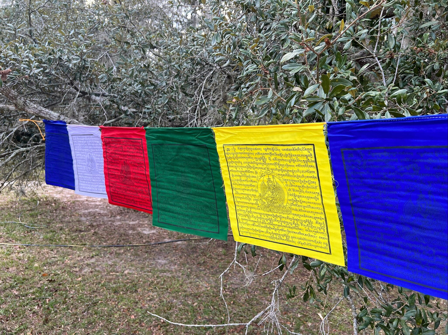 Guru Rinpoche | Tibetan Prayer Flags | 13 x 13 | Set of 25 | Guru Padmasambhava