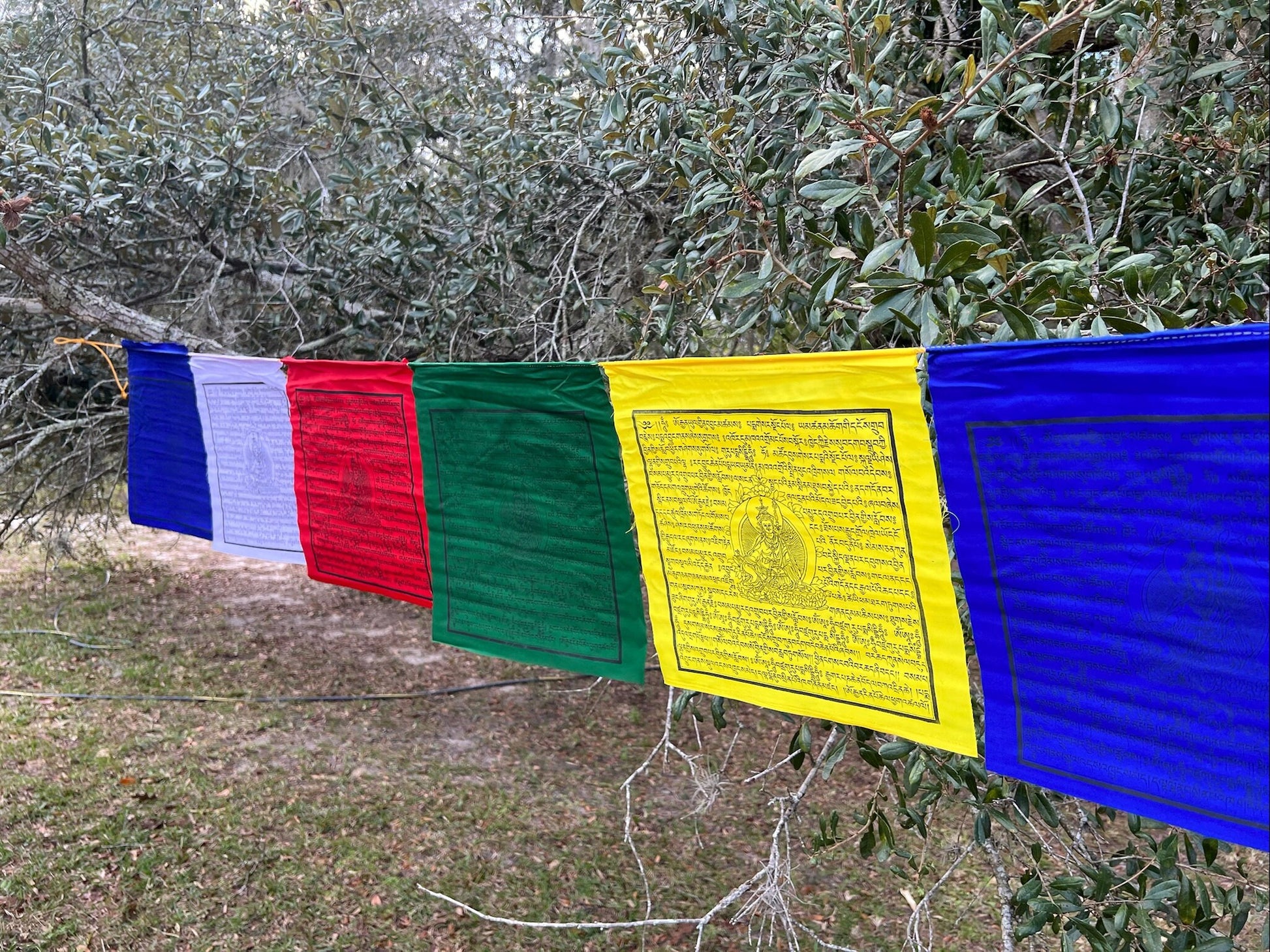 Guru Rinpoche | Tibetan Prayer Flags | 13 x 13 | Set of 25 | Guru Padmasambhava