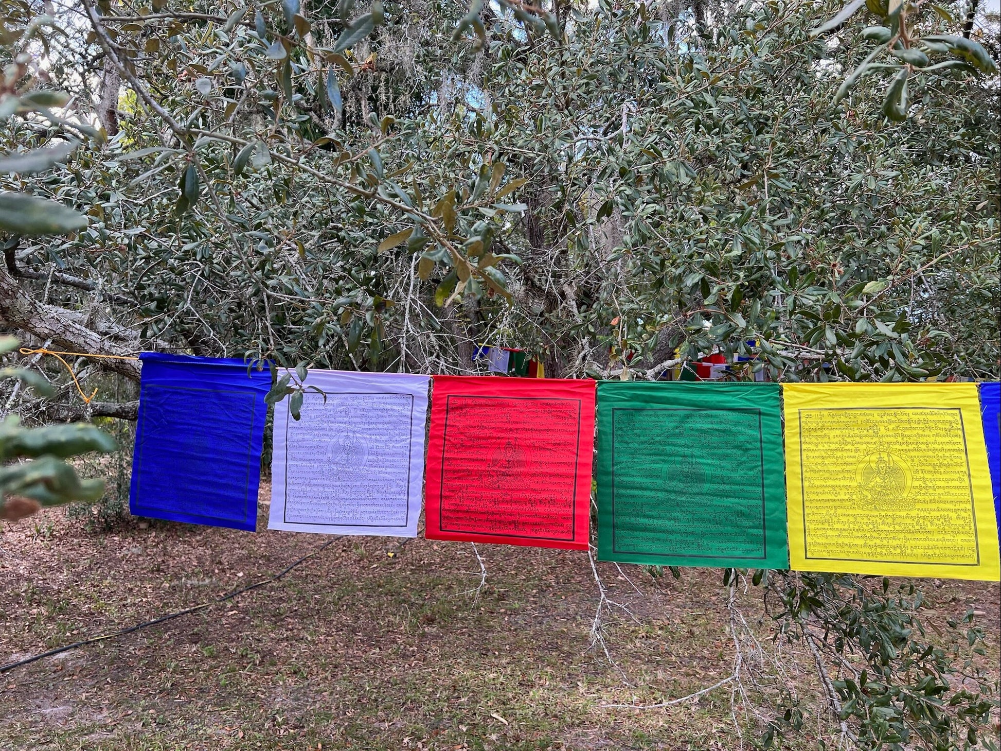 Guru Rinpoche | Tibetan Prayer Flags | 13 x 13 | Set of 25 | Guru Padmasambhava