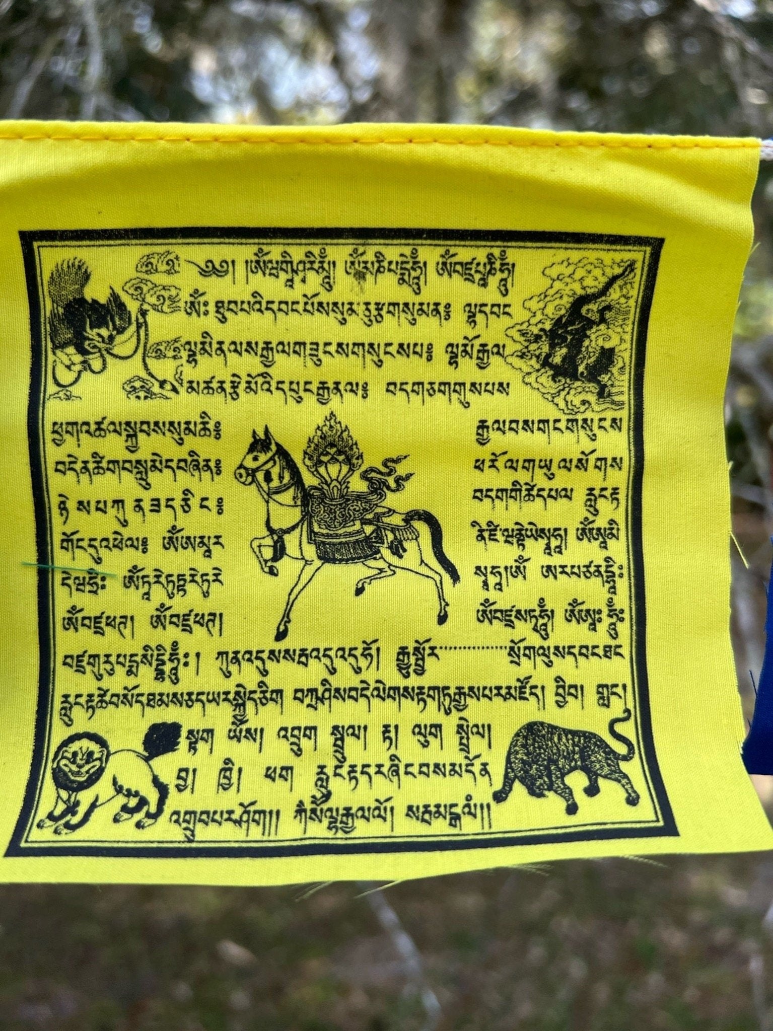 Tiny Mixed Deity |Tibetan Prayer Flags | 4in x 4in | 1 strand of 10 flags | Highest Quality - The Incense Stick