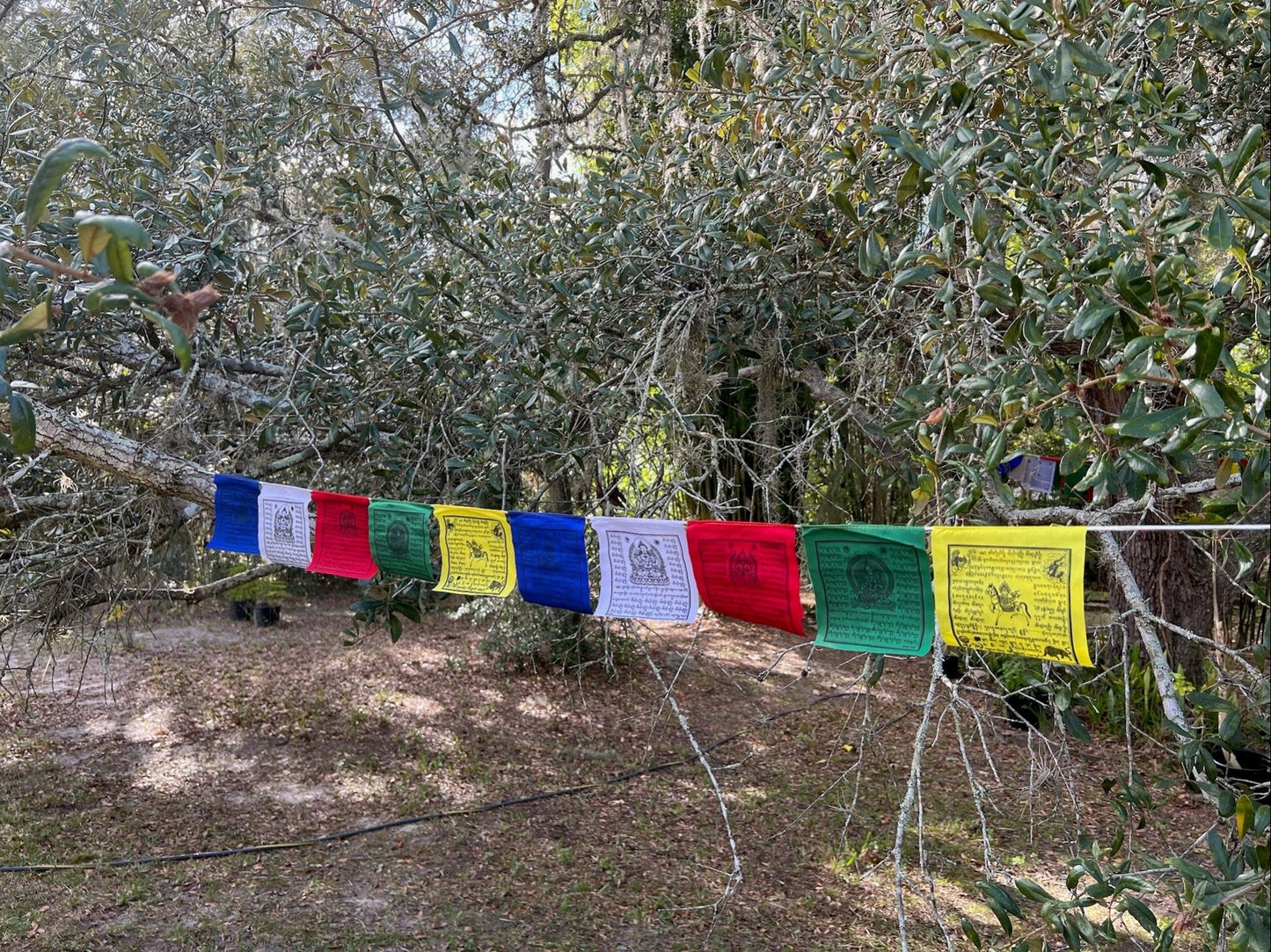 Tiny Mixed Deity |Tibetan Prayer Flags | 4in x 4in | 1 strand of 10 flags | Highest Quality - The Incense Stick