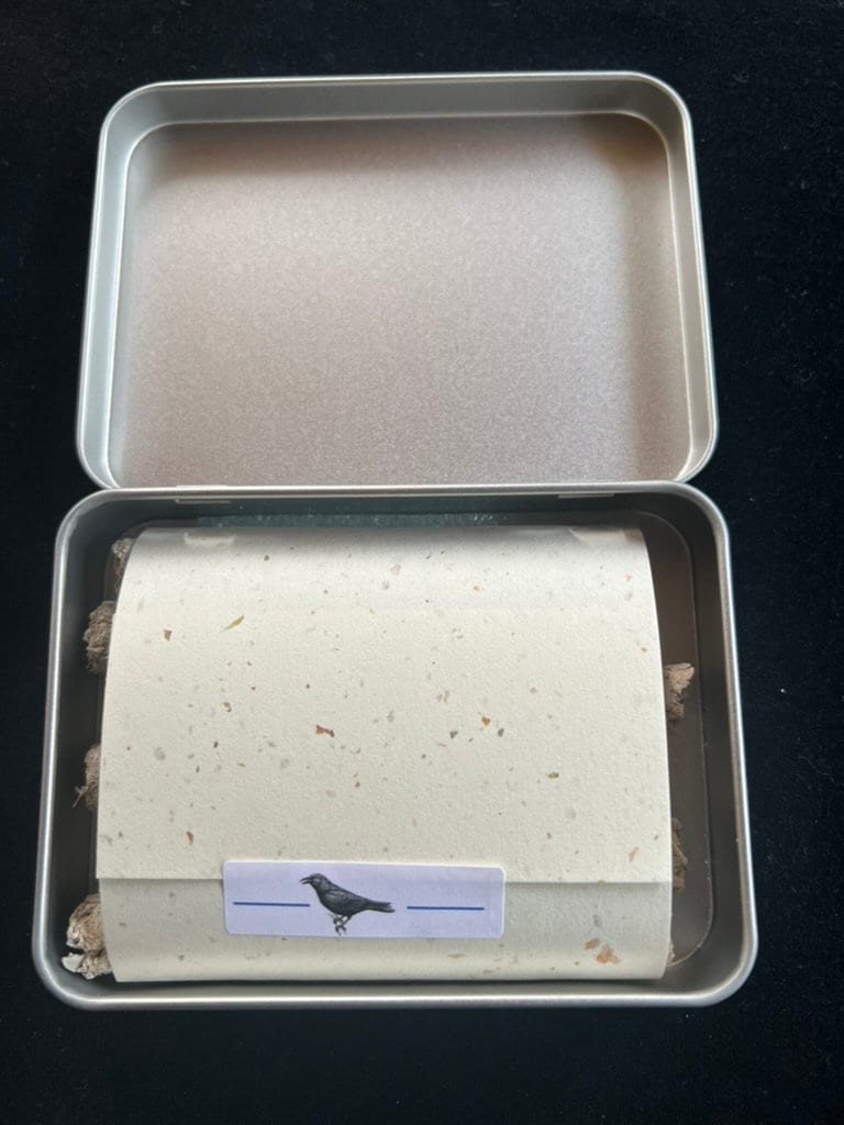 White Sage Incense Logs | 6 logs | 4" long | Natural | Convenient - The Incense Stick